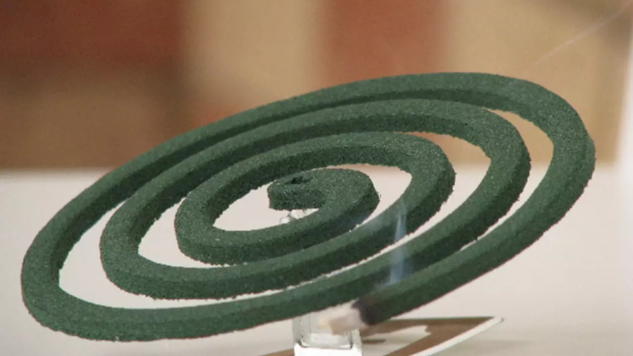 6 Killed in Delhi Due to Deadly Mosquito Coil