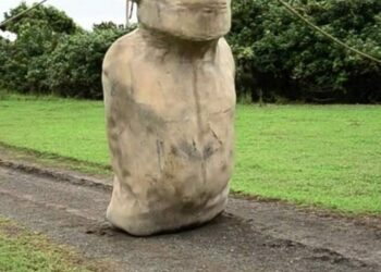 Moai Statue Discovery