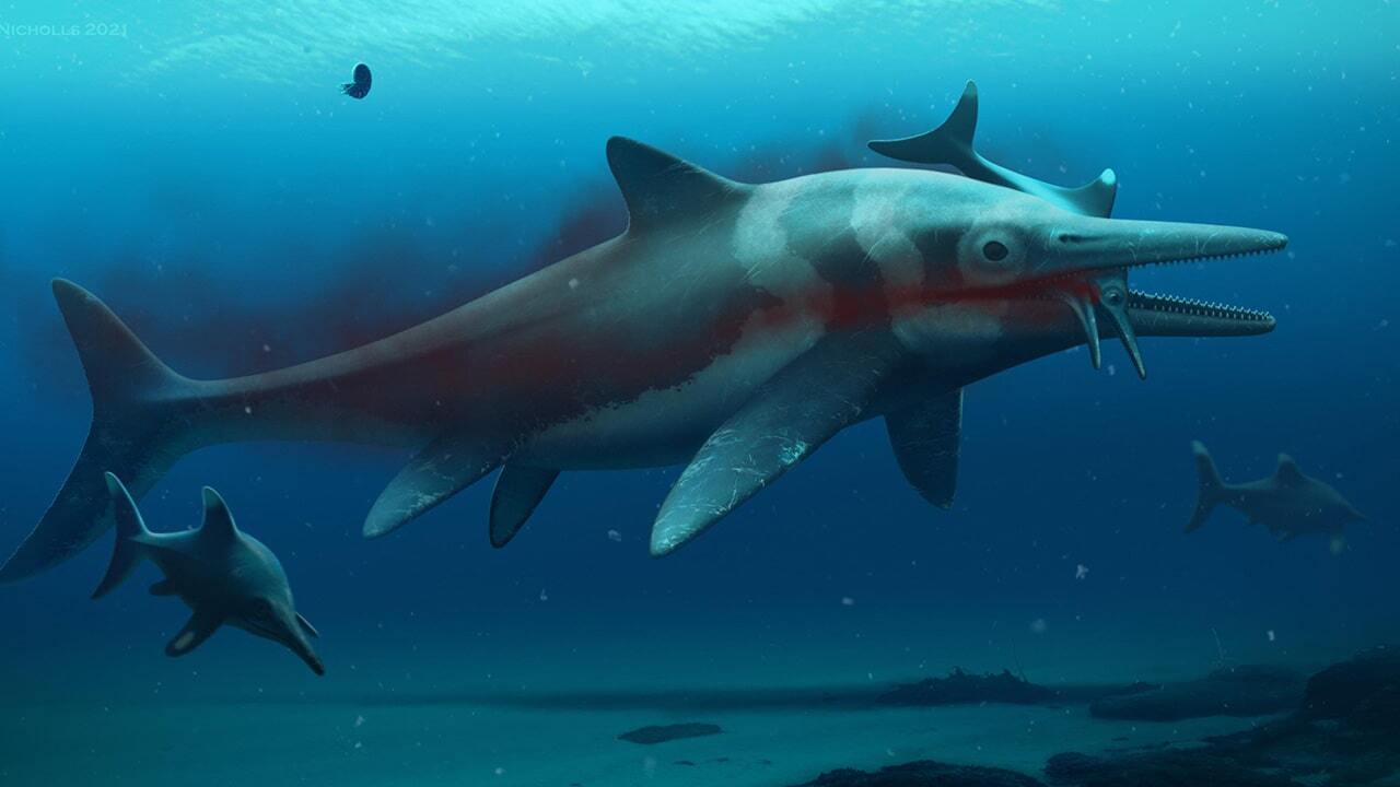 ichthyosaurs fossils