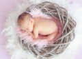 Baby with two Penises