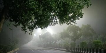 Delhi Foggy summers