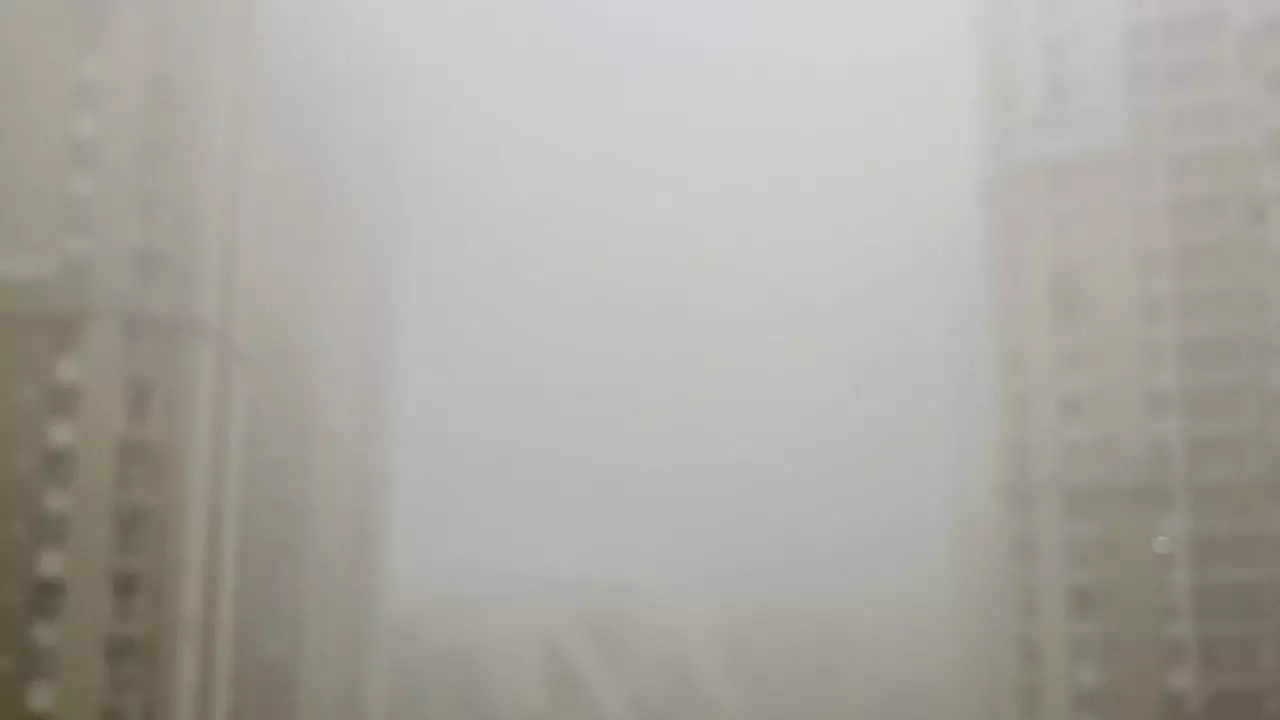 Fog During Summer Season
