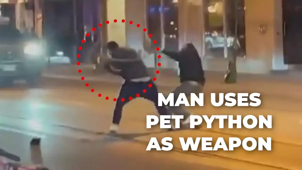 Man Uses Pet Python as Weapon In A Street Fight