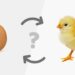 Chicken or Egg