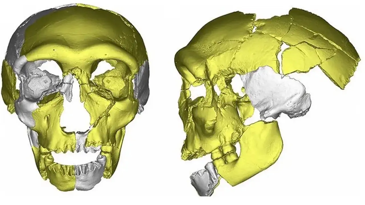 300000-Year-Old Skull Found in China 