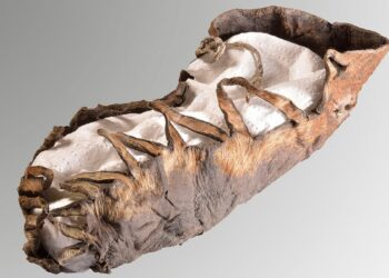 2,000-Year-Old Child's Shoe
