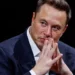 Elon Musk X Project