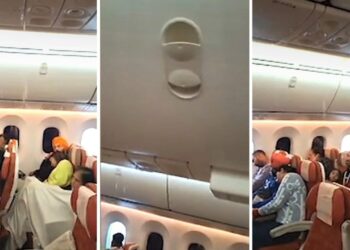 Air India Viral Video