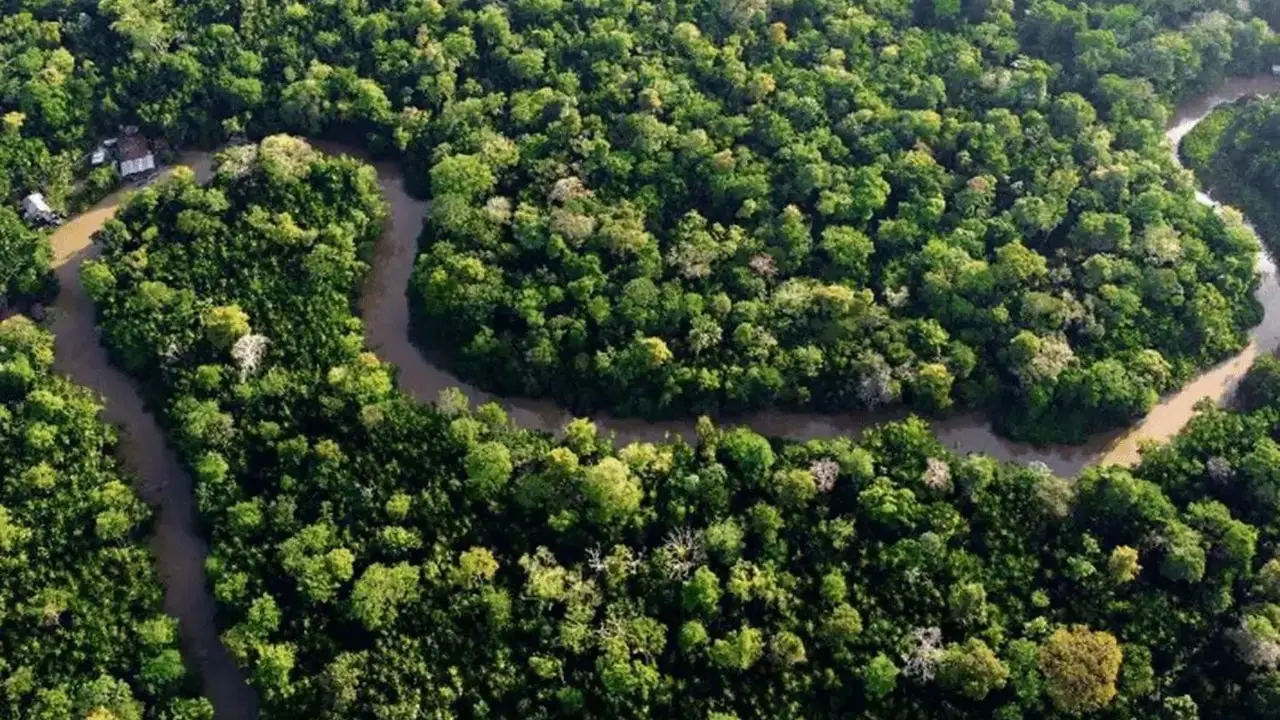 3,000-Year-Old City Discovered in Amazon Rainforest