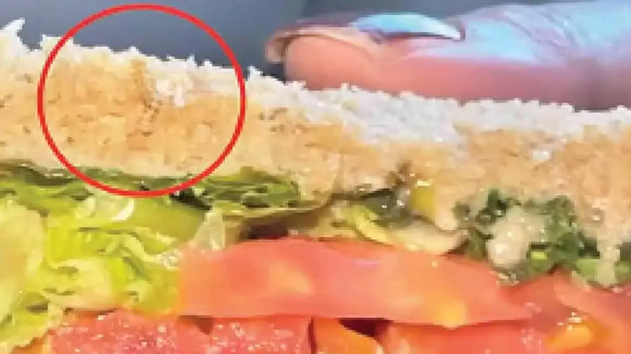 Indigo Passenger Discovers Live Worm on Sandwich
