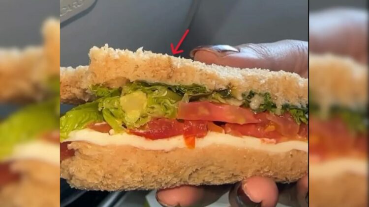Worm On Sandwich
