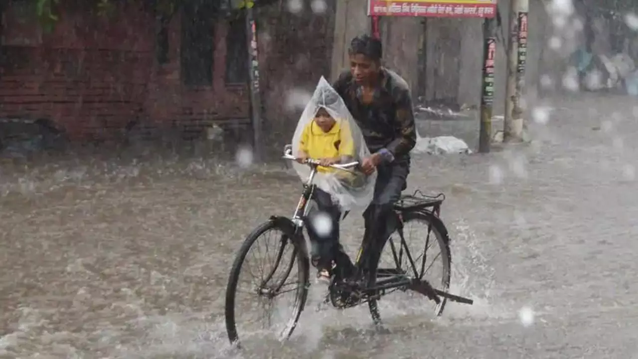 Punjab on High Rain Alert