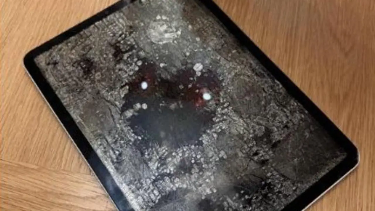 iPad baked in oven