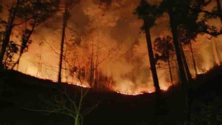 IAF Continues Vital Role in Uttarakhand Forest Fire