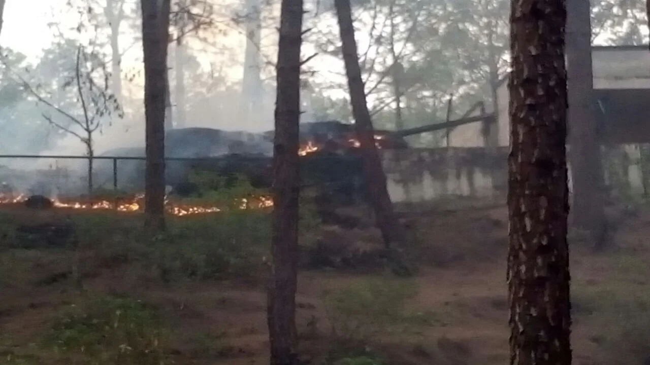 Rajouri Forest Fire Under Control in J&K 
