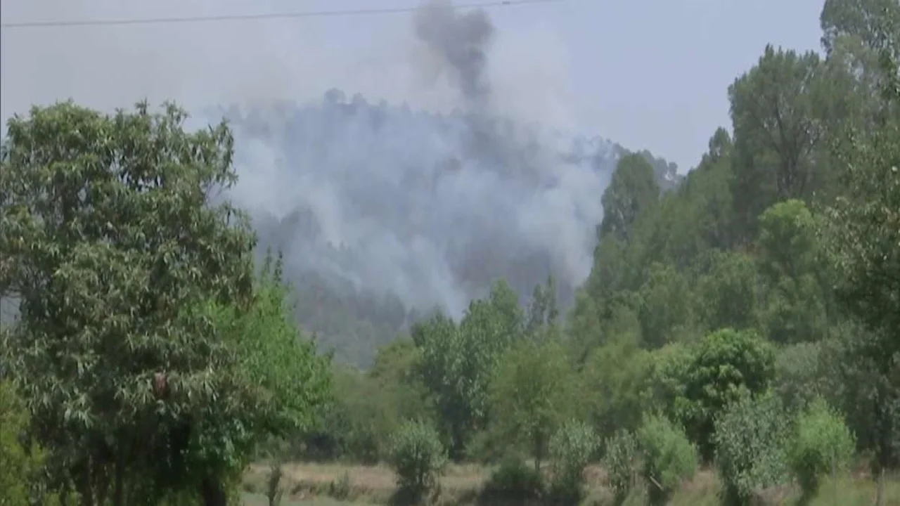 Rajouri Forest Fire Under Control in J&K 