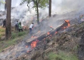 Rajouri Forest Fire Under Control in J&K