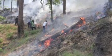 Rajouri Forest Fire Under Control in J&K