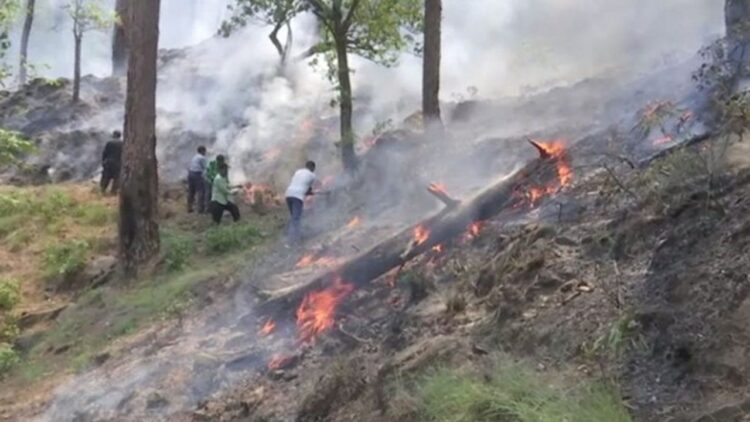 Rajouri Forest Fire Under Control in J&K