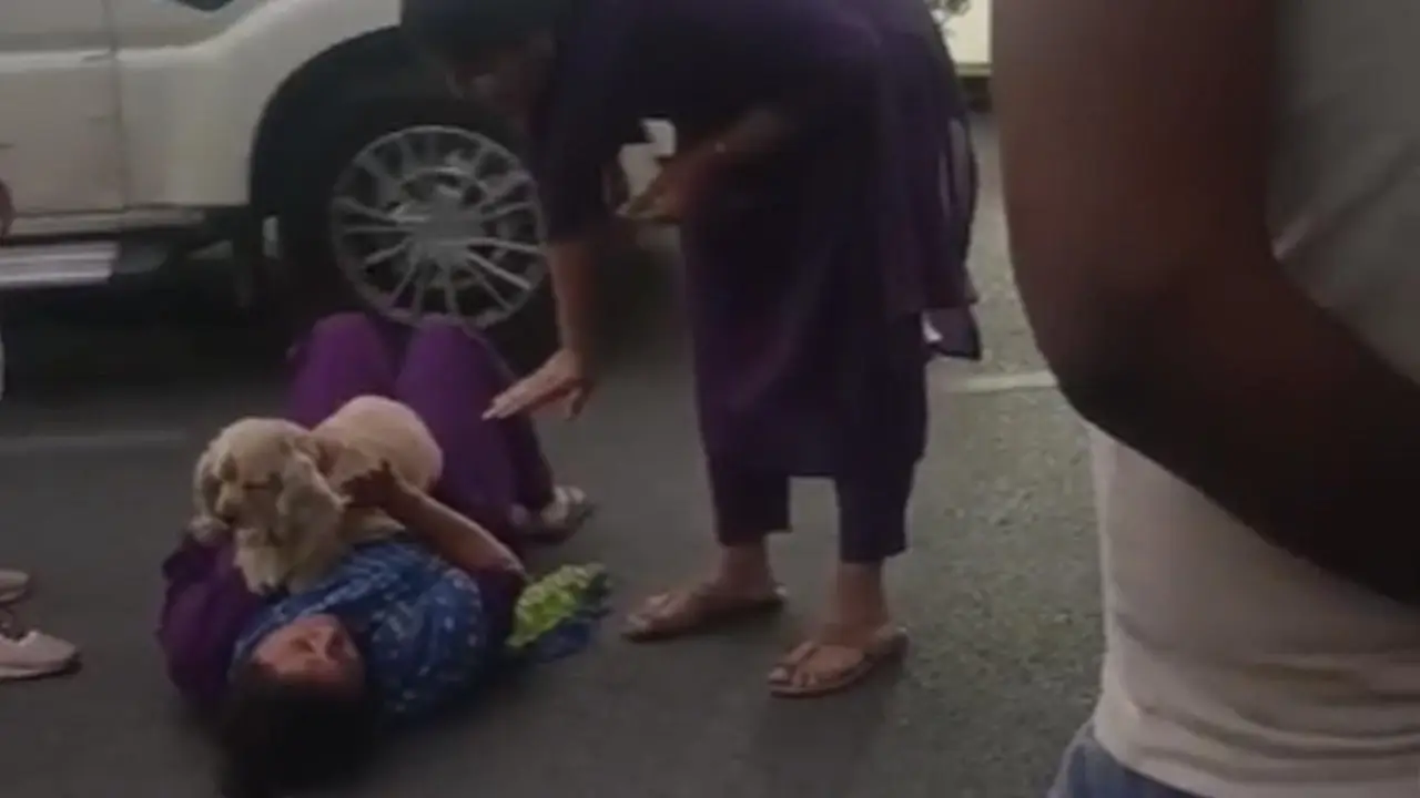 Woman Lies Down on Road in Protest