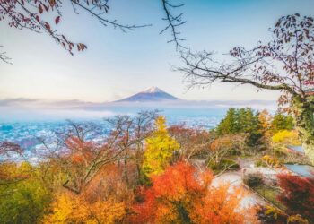 The impact of tourism in Mount Fuji