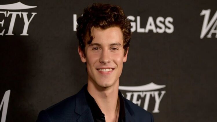 Shawn Mendes releases new singles, video.