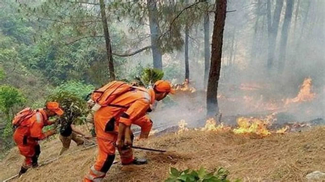 Massive Forest Fire Ravages Kullu Forests