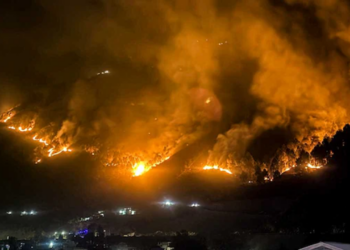 Massive Forest Fire Ravages Kullu Forests