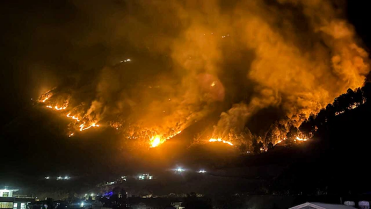 Massive Forest Fire Ravages Kullu Forests